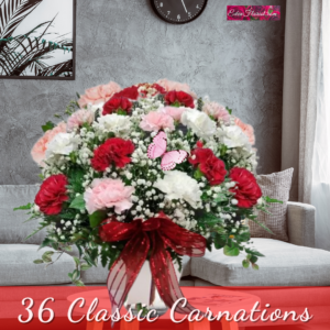 "36 classic carnations"