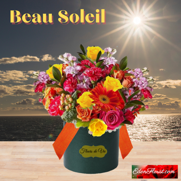 "Beau Soleil"