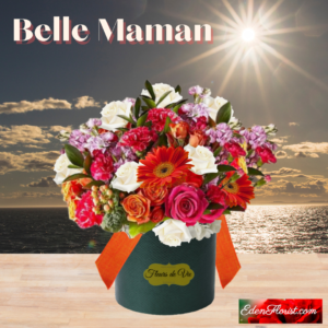 "Belle Maman"