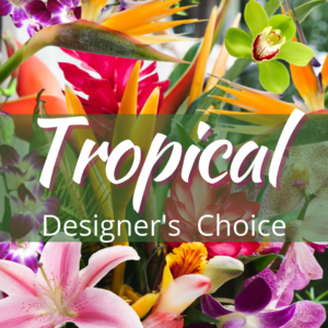 "Designers Choice Tropical Bouquet"