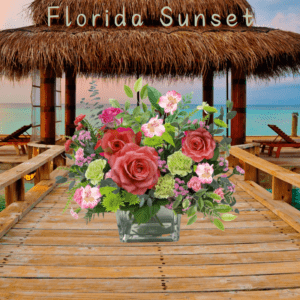 "FLORIDA SUNSET"