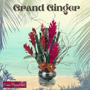 "Grand Ginger Tropical"