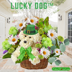"Lucky Dog Bouquet"