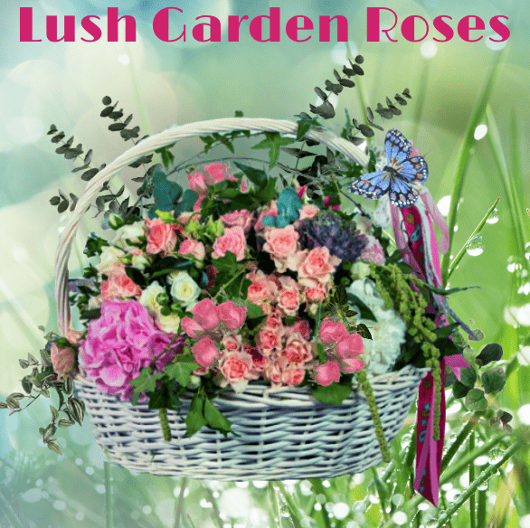 "Lush Garden Roses & More"