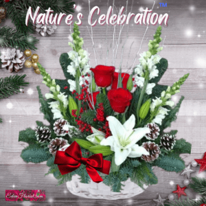 "Nature's celebration"