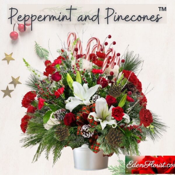 "Peppermint and Pinecones"