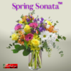 "Spring Sonata'