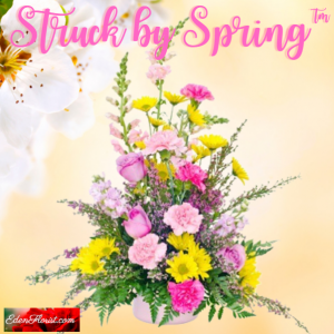 "Struck by Spring"