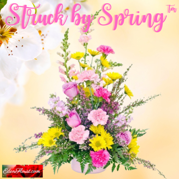 "Struck by Spring"