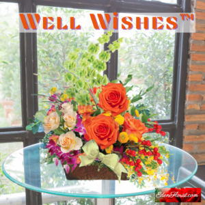 "Well Wishes"