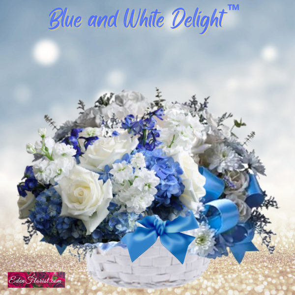 "blue and white delight"