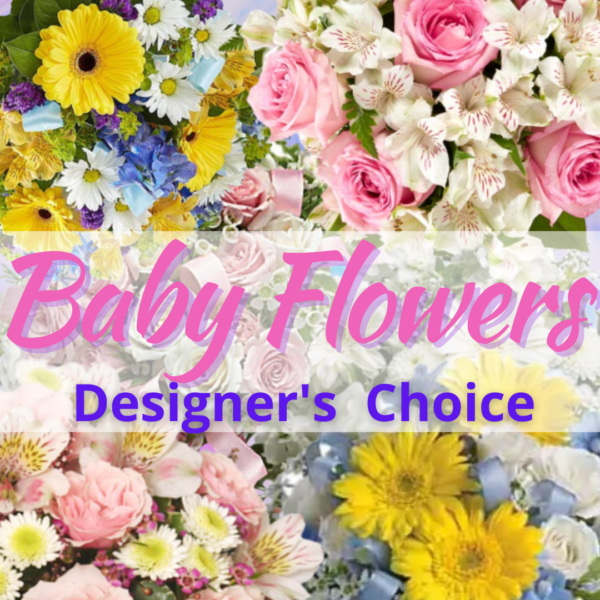 "designers Choice Baby Flowers"
