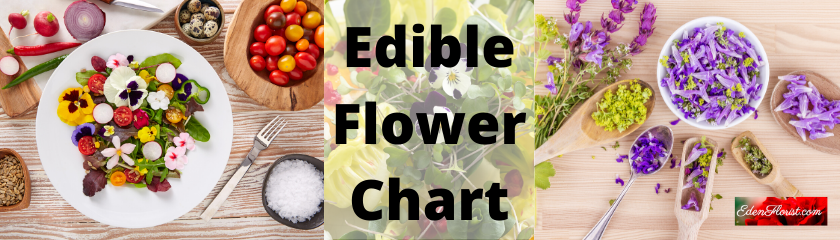 "edible flower chart"