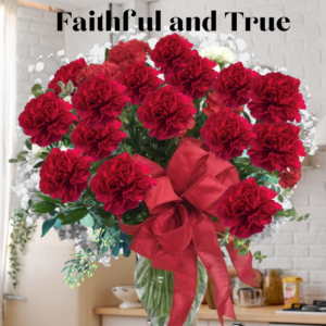 "faithful and true 24 red carnations vase"