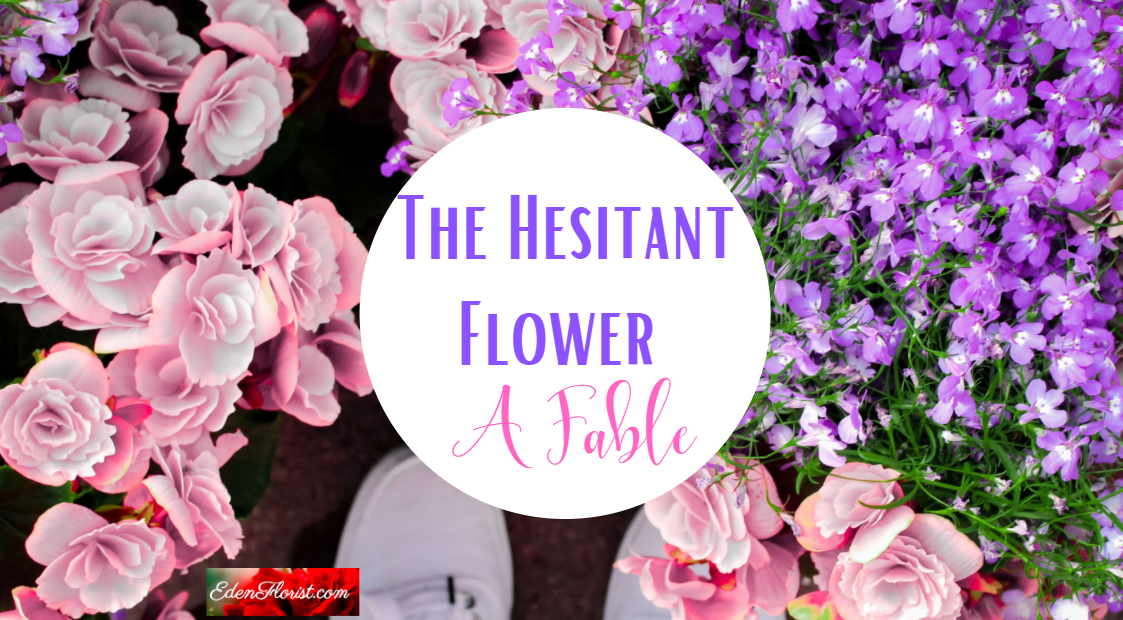The Hesitant Flower – A Fable
