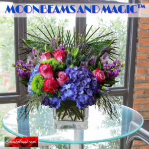 "moonbeams and magic"