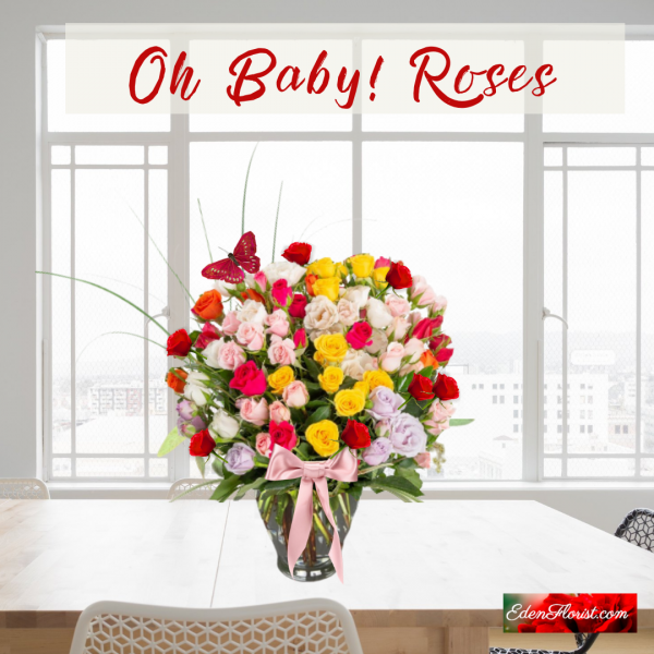 "oh baby roses"