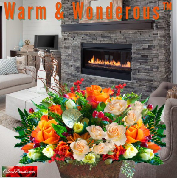 "warm and wonderous"