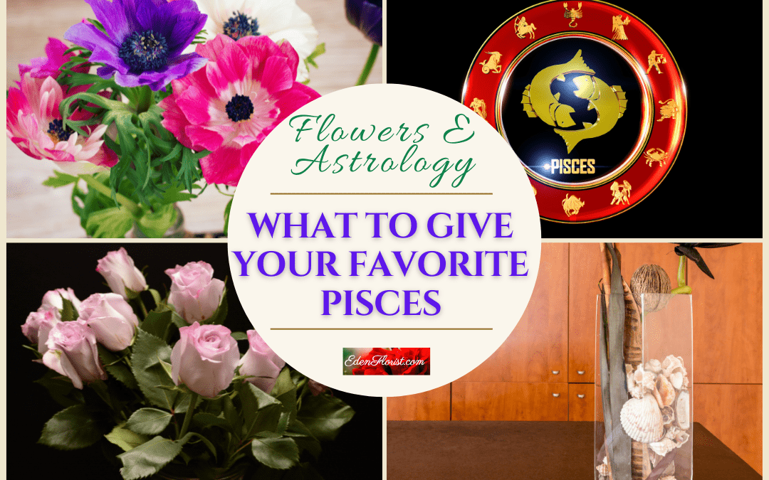 Flowers and Astrology, What to Give Your Favorite Pisces