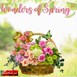 "Wonders of Spring"